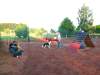 agility-08-hund.jpg
