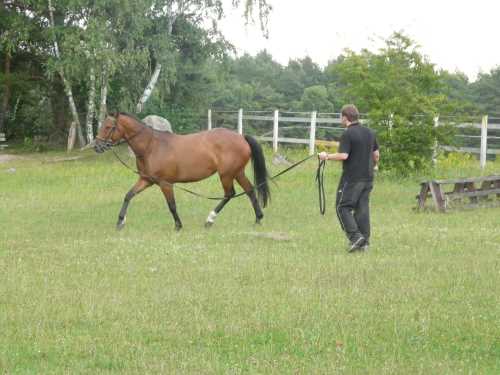 cor-de-la-bryere-06-chasseur.jpg