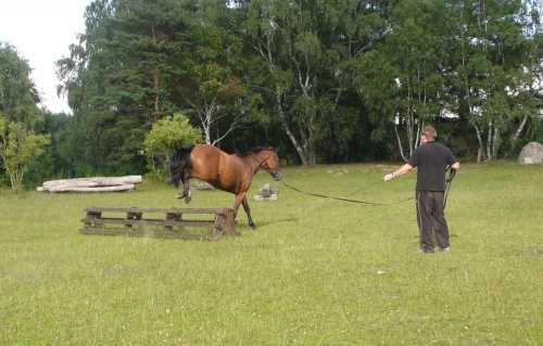 cor-de-la-bryere-10-chasseur.jpg