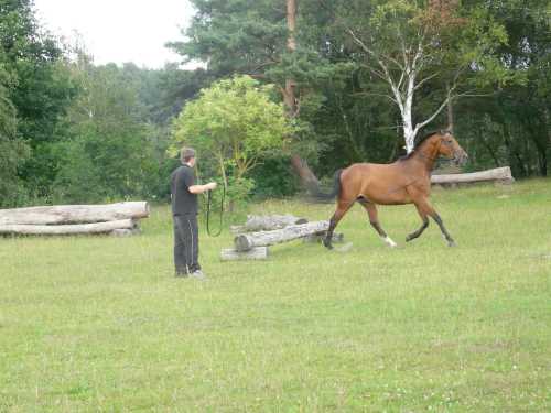cor-de-la-bryere-11-chasseur.jpg