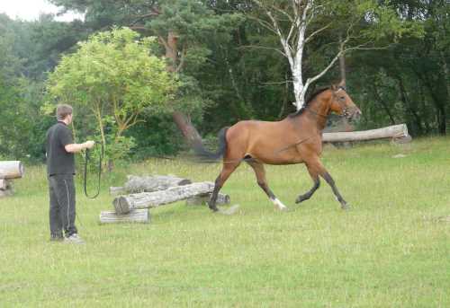 cor-de-la-bryere-12-chasseur.jpg