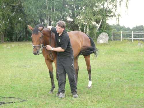 cor-de-la-bryere-13-chasseur.jpg
