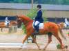 fred-dressur-turnier.jpg