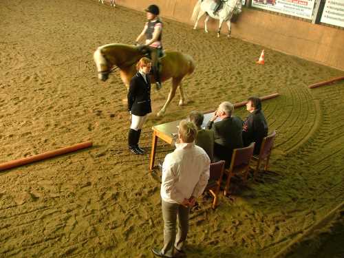 reitlehrgang-01-reitverein.jpg
