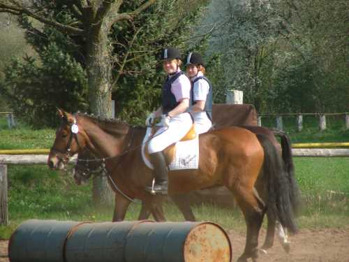 reitlehrgang-10-reitverein.jpg