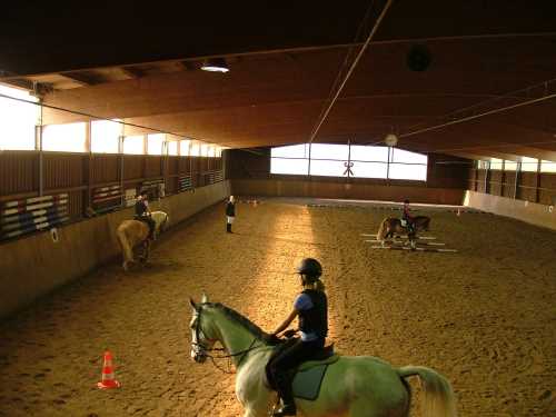 reitlehrgang-15-reitverein.jpg
