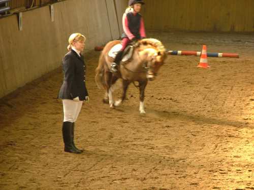 reitlehrgang-26-reitverein.jpg