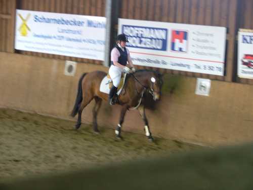 reitlehrgang-28-reitverein.jpg