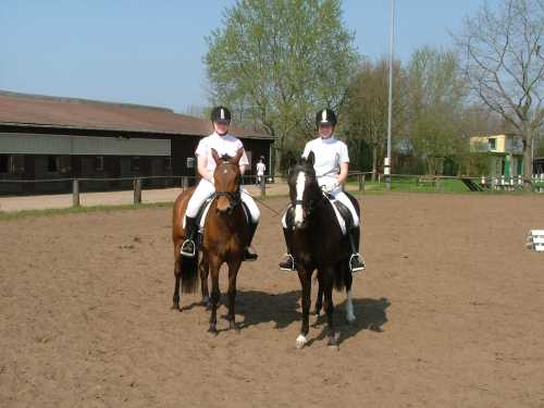 reitlehrgang-30-reitverein.jpg