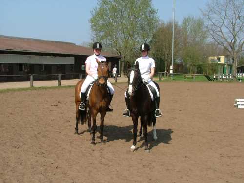 reitlehrgang-31-reitverein.jpg