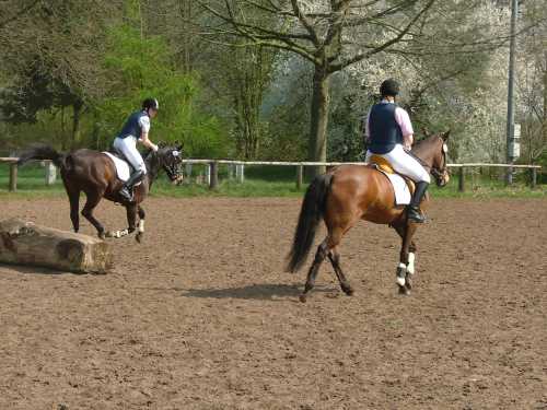 reitlehrgang-42-reitverein.jpg