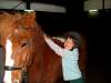 weihnachtsfeier04-pony-club.jpg