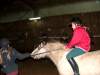 weihnachtsfeier06-pony-club.jpg