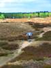 wandern-im-04-wendland.jpg