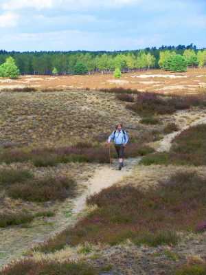 wandern-im-04-wendland.jpg