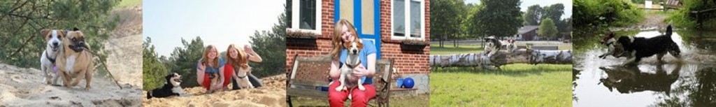 Kurzurlaub mit Hund