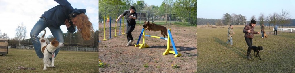 Urlaub mit dem Hund in der Kameruner Hundeschule