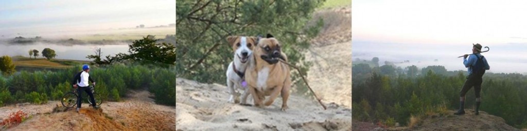Kurzurlaub mit Hund
