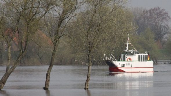 Fahrgastschiff auf der Elbe
