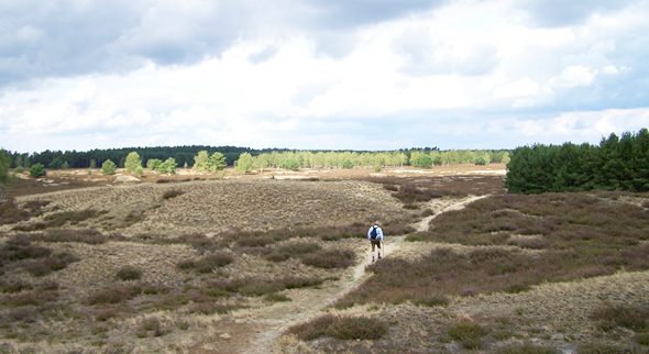 Nemitzer Heide - Ausflugsziel in der Lüneburger Heide