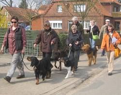 Hundeführerschein für Niedersachsen - Training