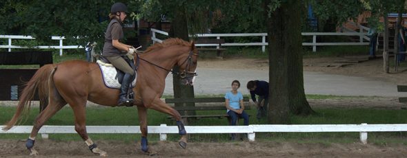 Horseback riding in Kamerun County