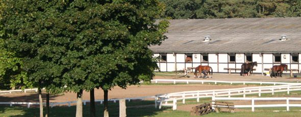 Riding school facilities