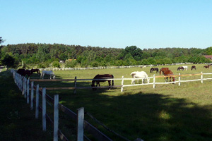 Kamerun - Urlaub in der Lüneburger Heide Kamerun - Urlaub in der Lüneburger Heide