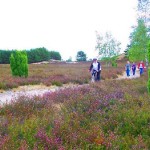 Radfahrwochenende Heideradweg