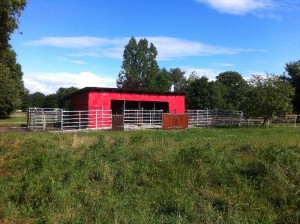 paddock-pferdestall-009