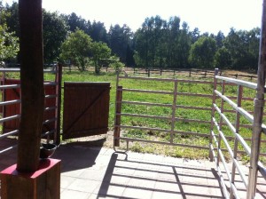 paddock-pferdestall-014