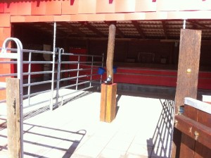 paddock-pferdestall-015